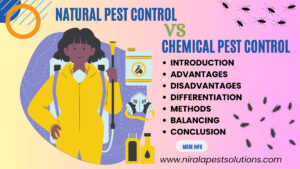 Natural Pest Control VS Chemical Pest Control