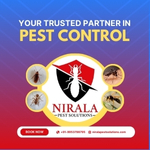 Your Trusted Partner in Pest Control